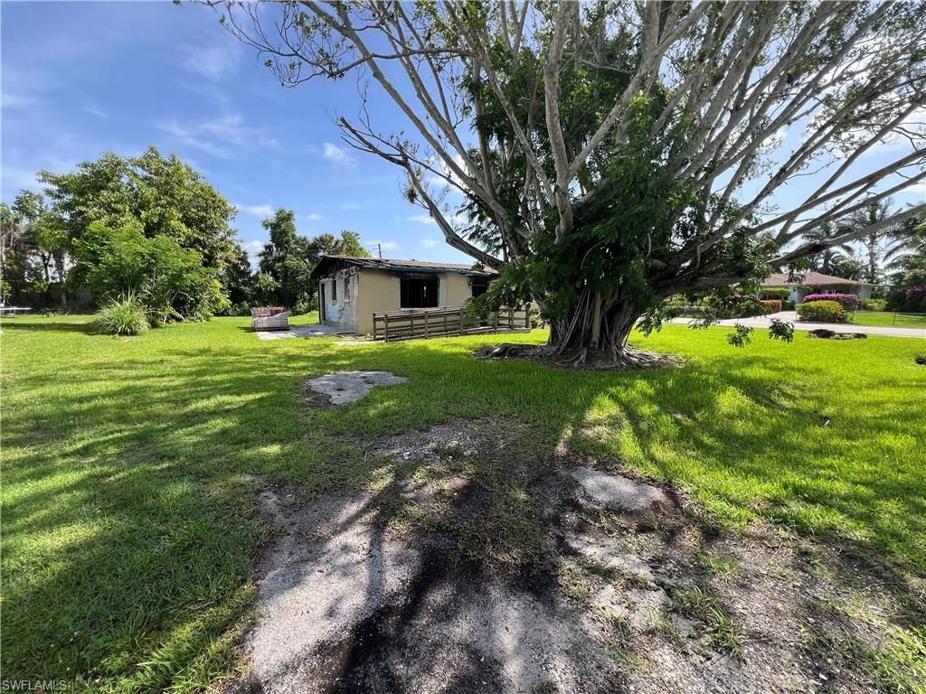 MLS #225055698 image #0