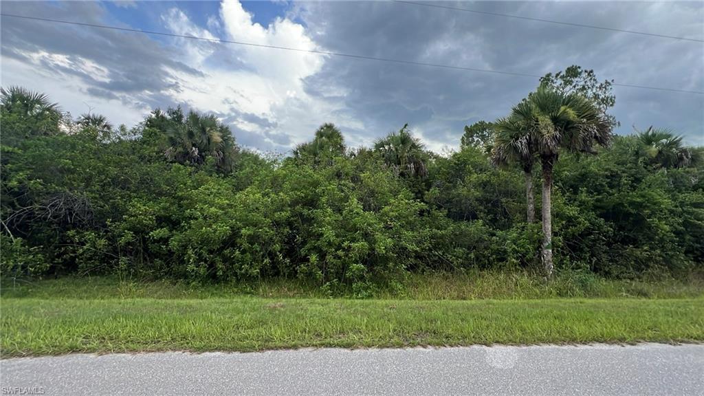 MLS #225058941 image #0