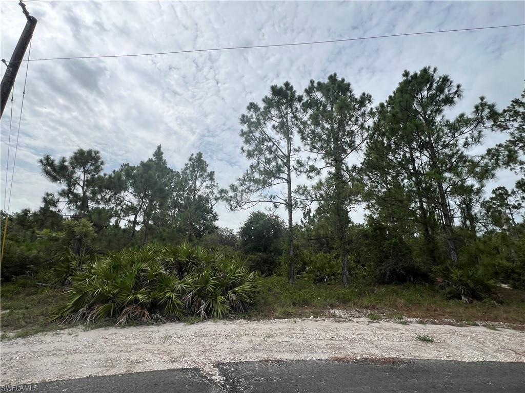 MLS #225058956 image #0