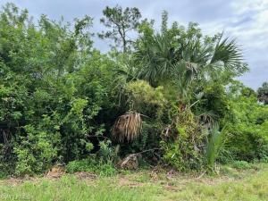 MLS #225059715 image #0