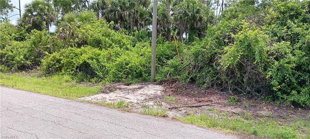 MLS #225061343 image #0