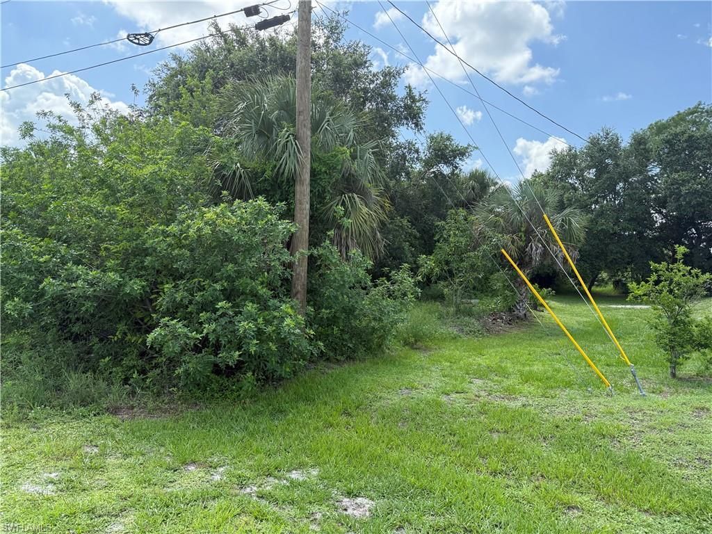 MLS #225061882 image #0