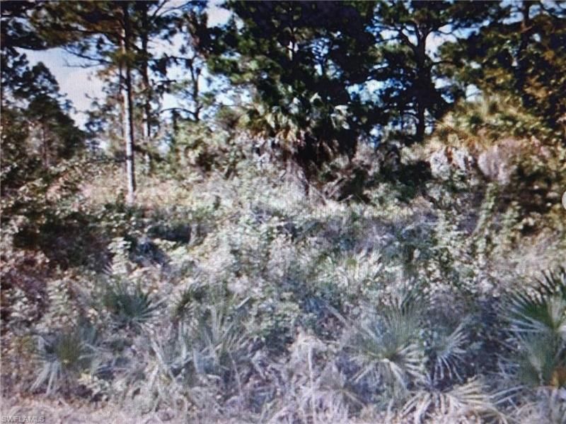 MLS #225062895 image #0