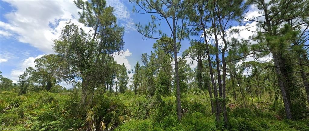 MLS #225063334 image #0