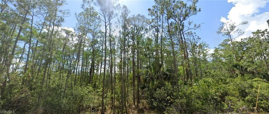 MLS #225063351 image #0