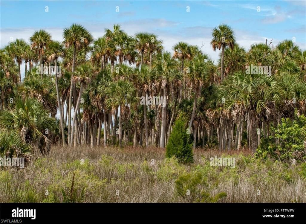 MLS #225065077 image #0