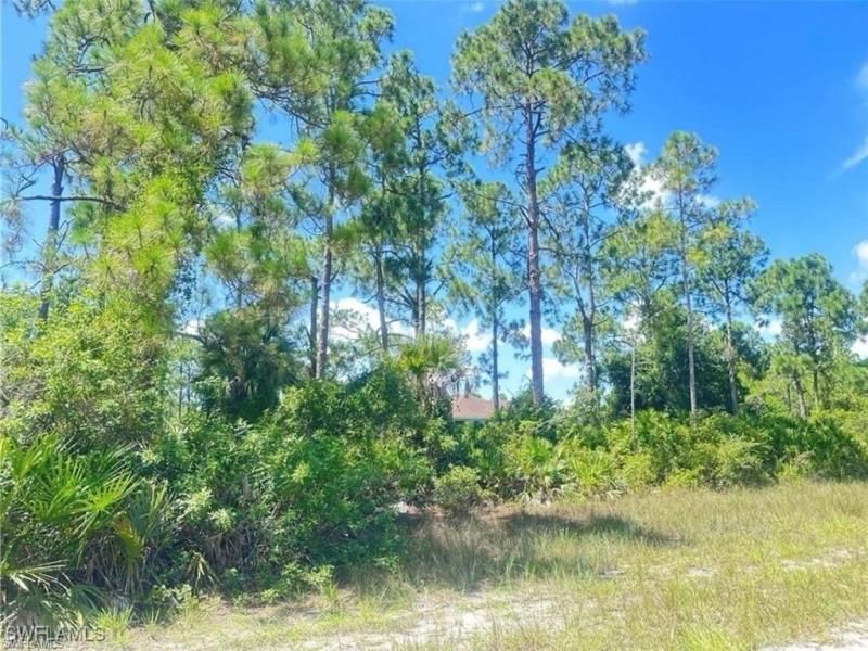 MLS #225068239 image #0