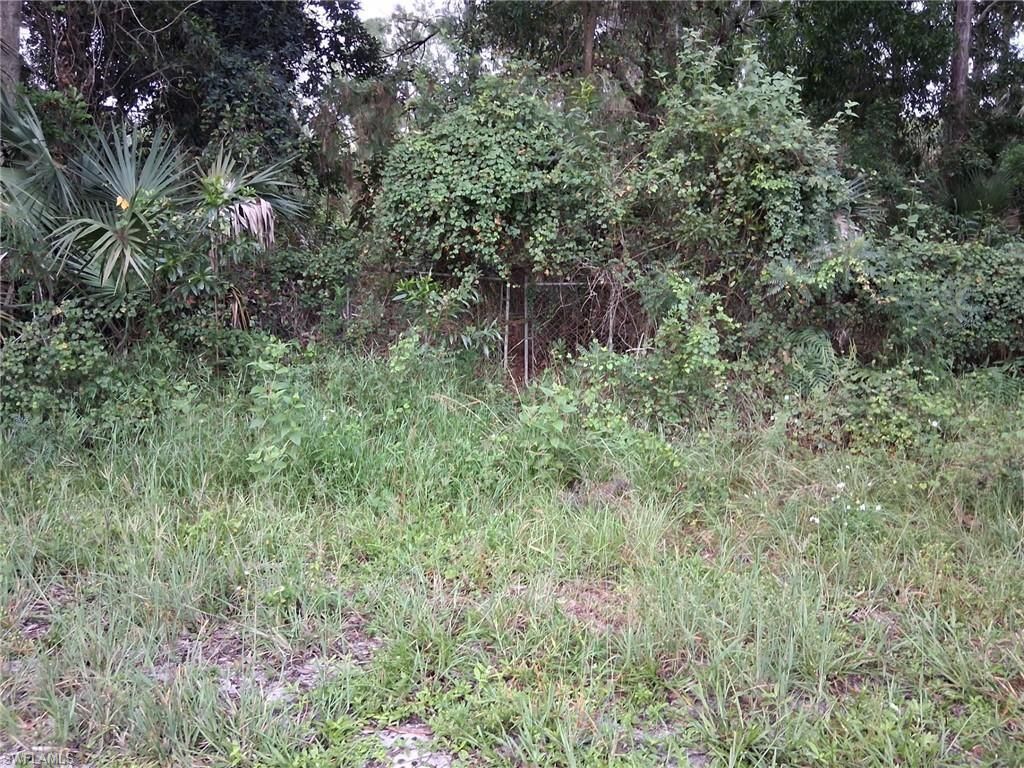 MLS #225069536 image #0
