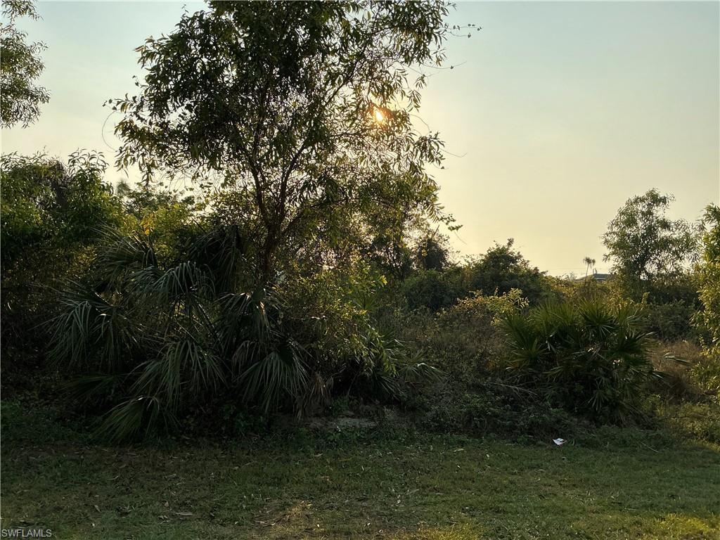 MLS #225070284 image #0