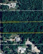 MLS #225049359 image #0