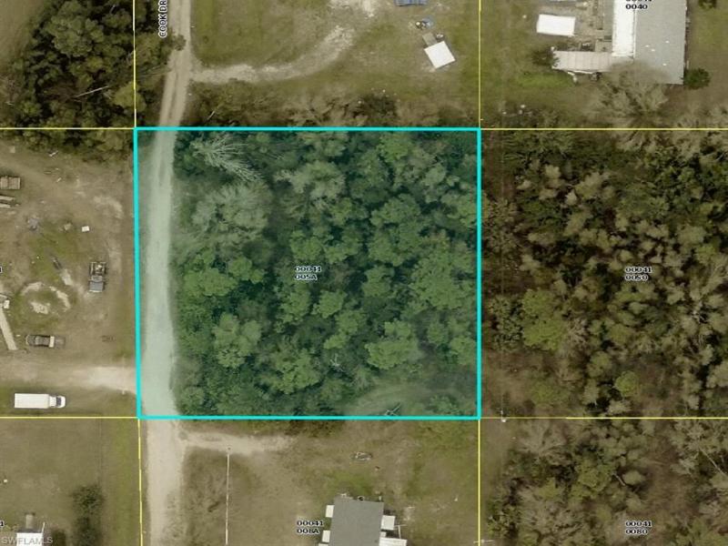 MLS #225071926 image #0