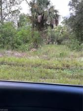 MLS #225072244 image #0