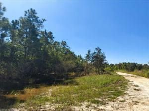 MLS #225073938 image #0