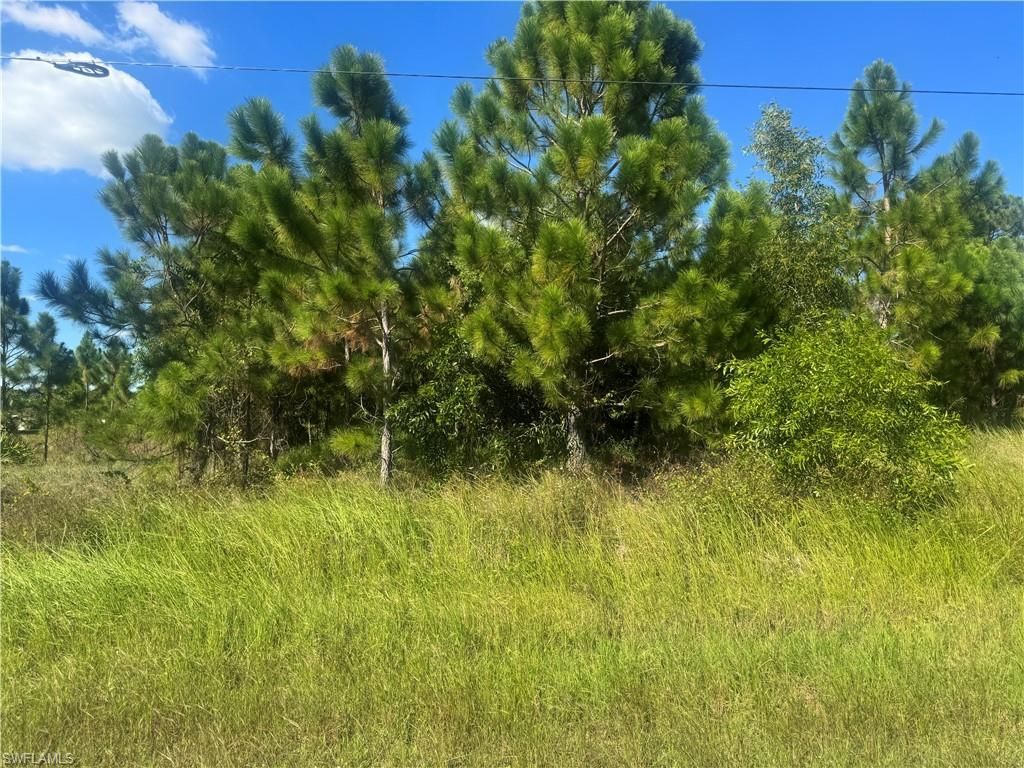 MLS #225076035 image #0