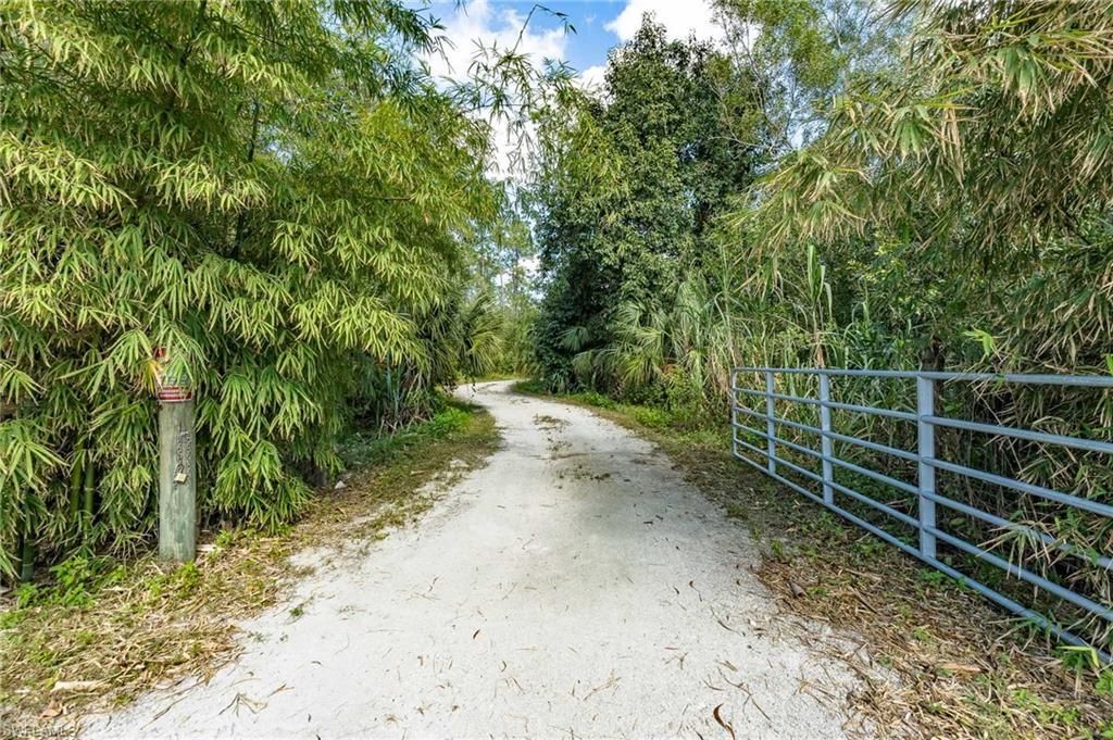 MLS #225078294 image #0