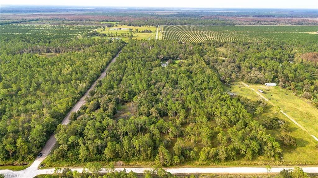 MLS #225078396 image #0