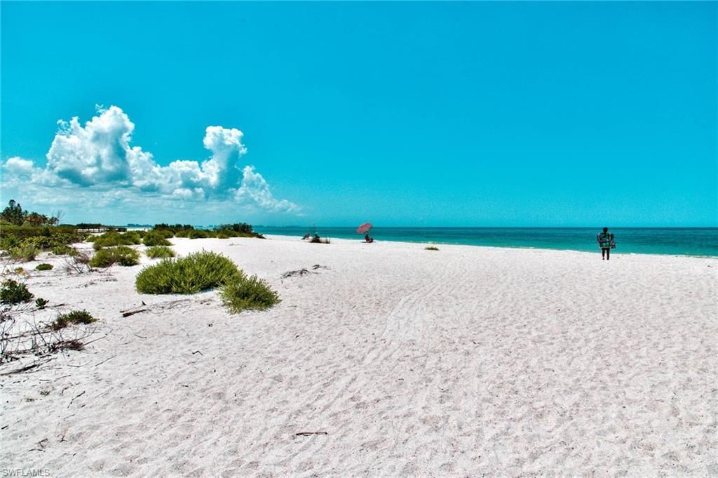 MLS #225078634 image #0