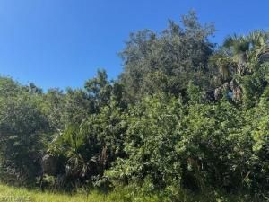 MLS #225079718 image #0