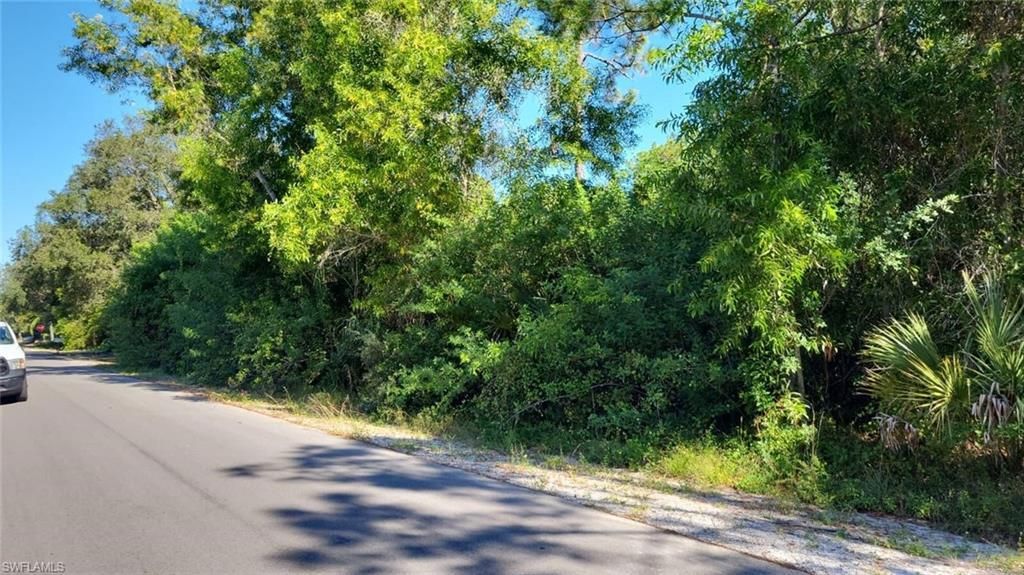 MLS #225080066 image #0