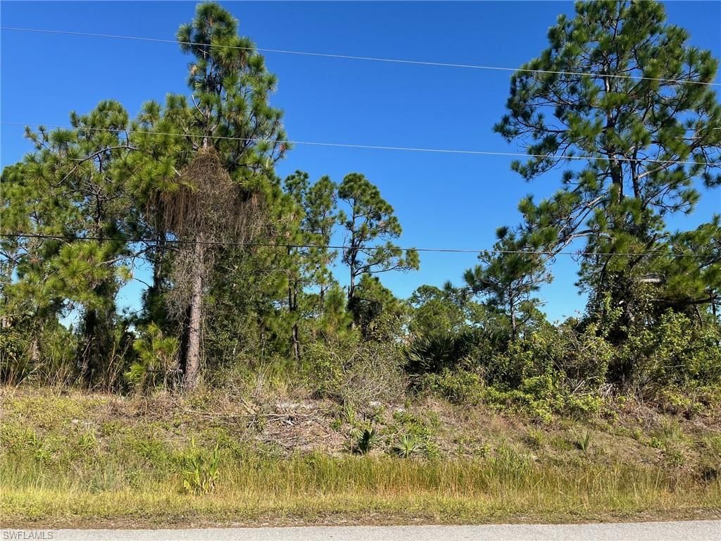 MLS #225079384 image #0