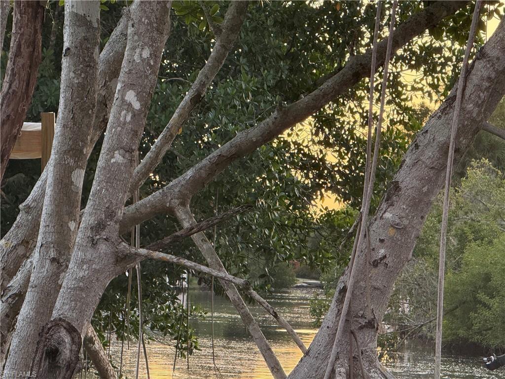 MLS #225081413 image #0