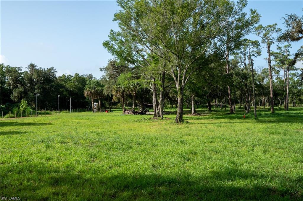 MLS #225082467 image #0