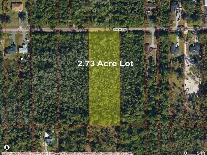 MLS #226011901 image #0
