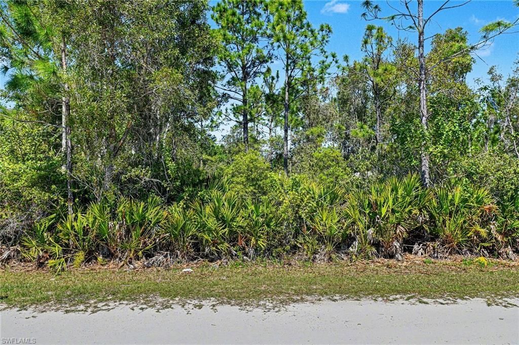 MLS #226013288 image #0