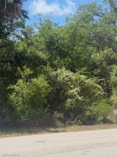 MLS #226018076 image #0