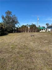 MLS #226018917 image #0