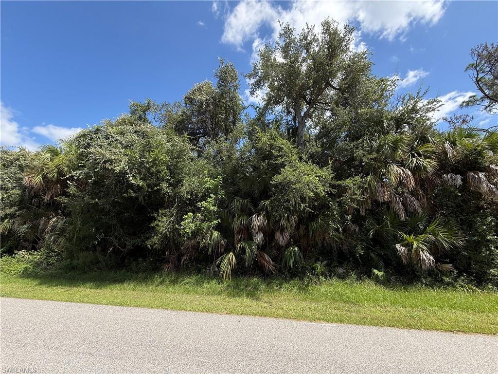 MLS #226029804 image #0