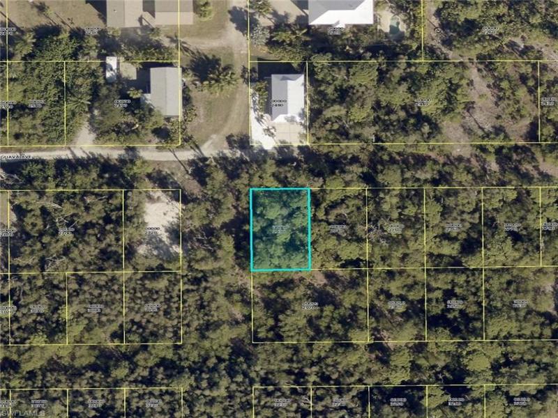 MLS #226031955 image #0